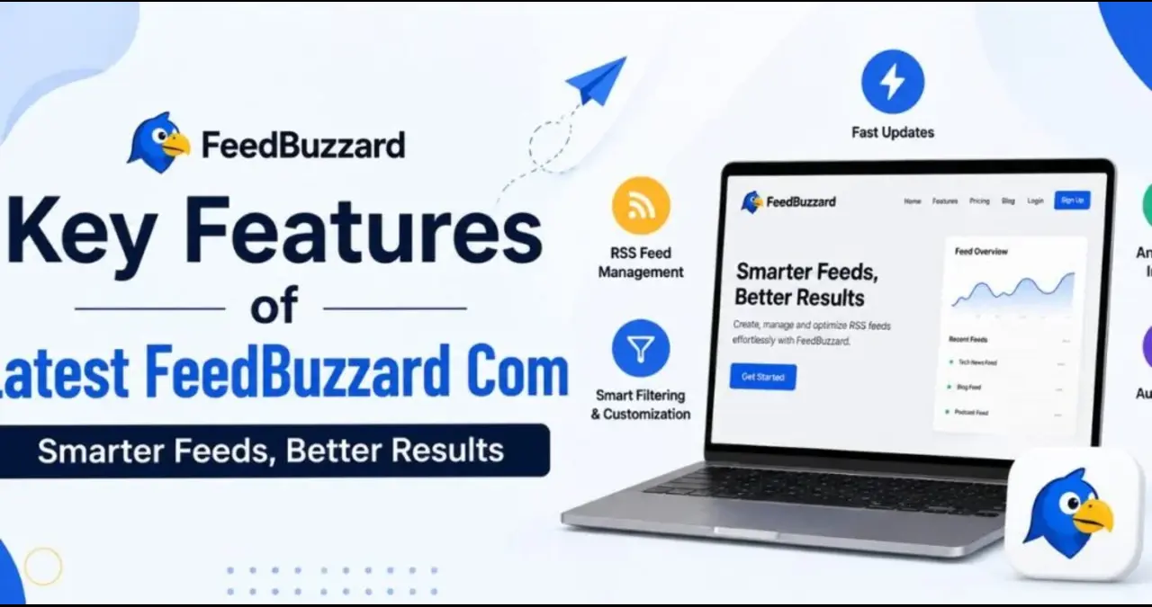 Zingyzon.com