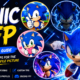 Zingyzon.com Sonic PFP