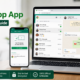 Zingyzon.com Web on WhatsApp App